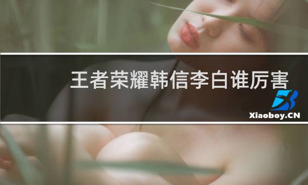 王者荣耀韩信李白谁厉害图片
