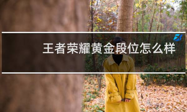 王者荣耀黄金段位怎么样图片