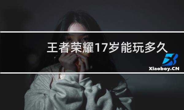 王者荣耀17岁能玩多久2020图片