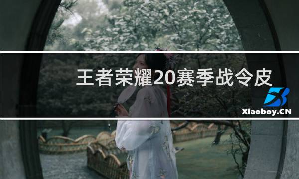 王者荣耀20赛季战令皮肤是谁的图片