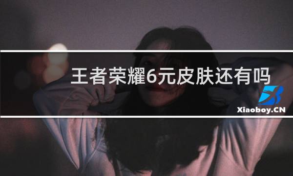 王者荣耀6元皮肤还有吗图片
