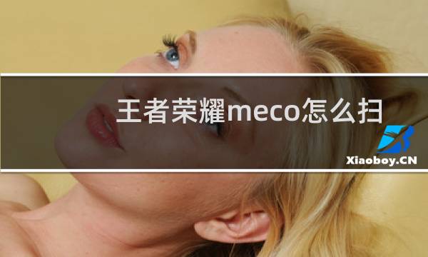 王者荣耀meco怎么扫图片