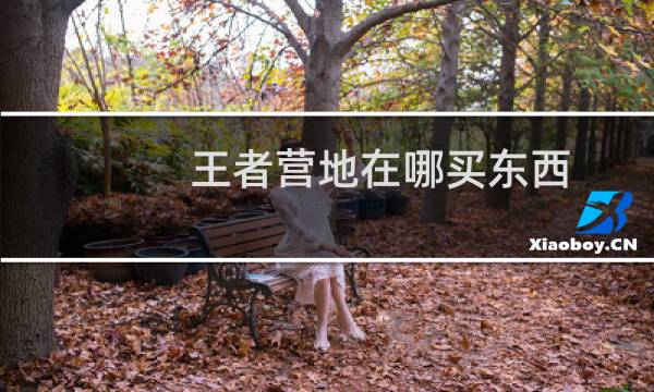 王者营地在哪买东西图片