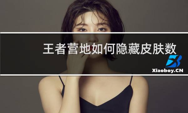 王者营地如何隐藏皮肤数量图片