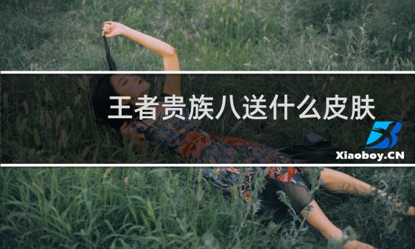 王者贵族八送什么皮肤图片