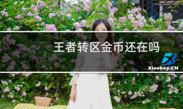王者转区金币还在吗图片