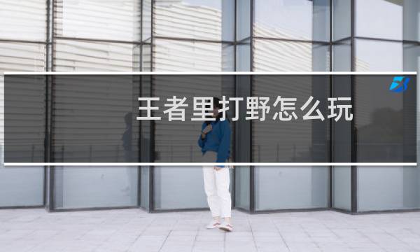 王者里打野怎么玩图片