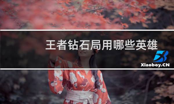 王者钻石局用哪些英雄图片
