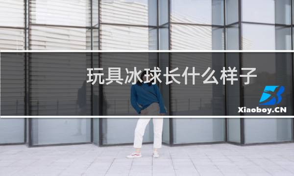 玩具冰球长什么样子图片