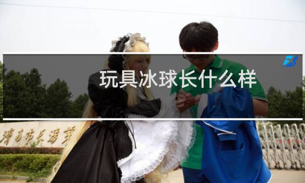 玩具冰球长什么样图片