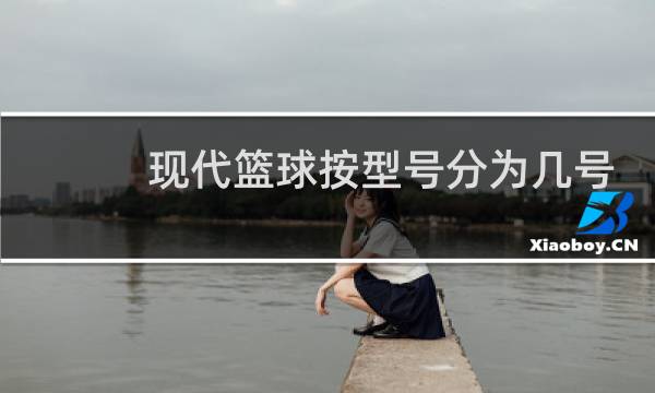 现代篮球按型号分为几号图片