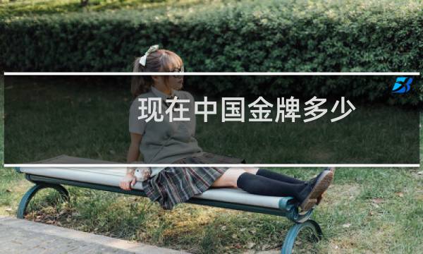 现在中国金牌多少图片