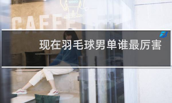 现在羽毛球男单谁最厉害图片