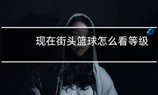 现在街头篮球怎么看等级图片
