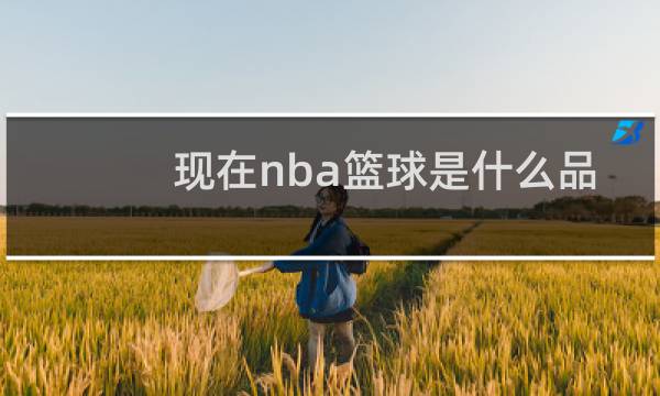 现在nba篮球是什么品牌图片