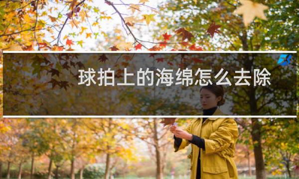 球拍上的海绵怎么去除图片