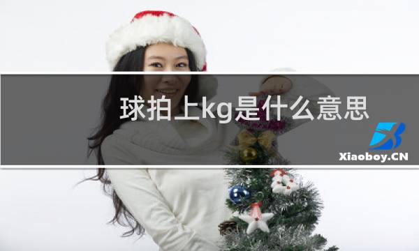 球拍上kg是什么意思图片