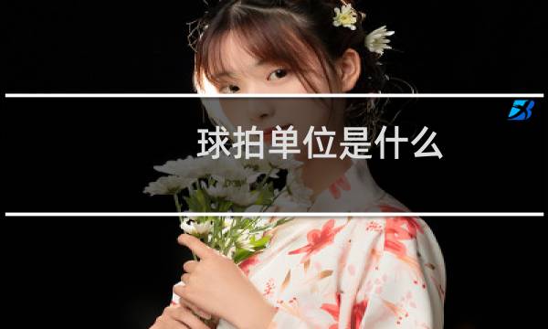 球拍单位是什么图片