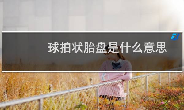 球拍状胎盘是什么意思图片