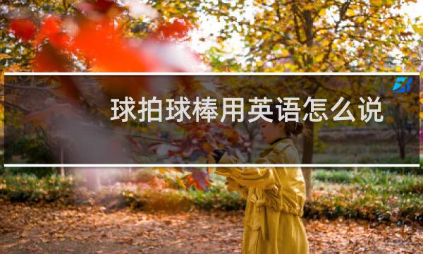 球拍球棒用英语怎么说图片