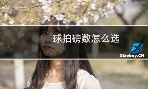 球拍磅数怎么选图片