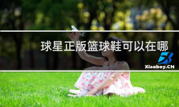 球星正版篮球鞋可以在哪买图片