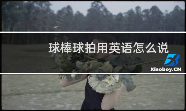 球棒球拍用英语怎么说图片
