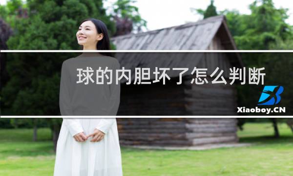 球的内胆坏了怎么判断图片
