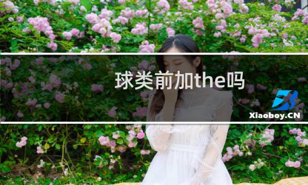 球类前加the吗图片