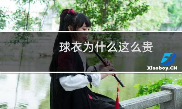 球衣为什么这么贵图片