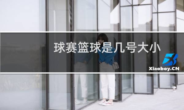 球赛篮球是几号大小图片