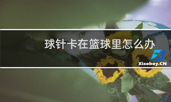 球针卡在篮球里怎么办图片