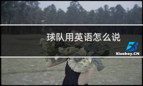 球队用英语怎么说图片