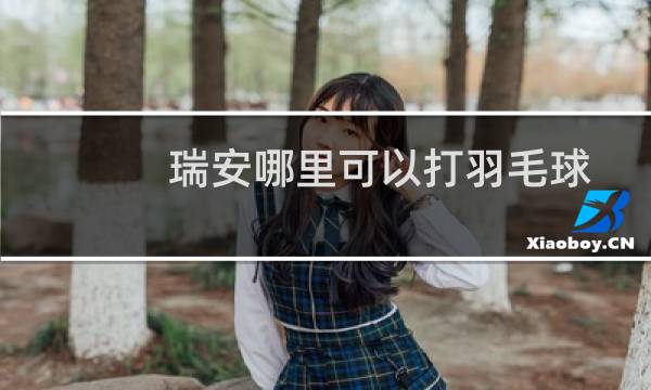 瑞安哪里可以打羽毛球图片
