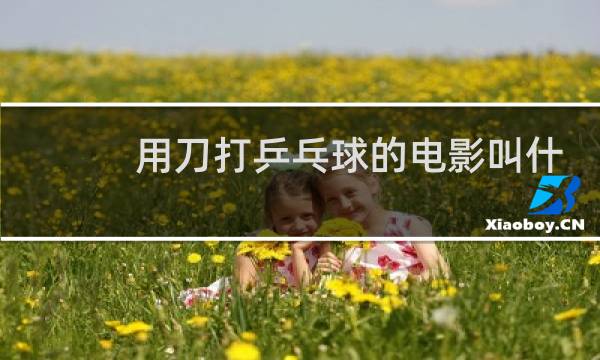 用刀打乒乓球的电影叫什么图片