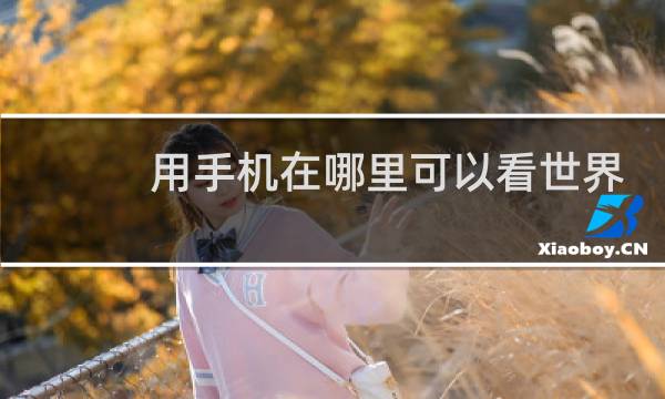 用手机在哪里可以看世界杯回放图片