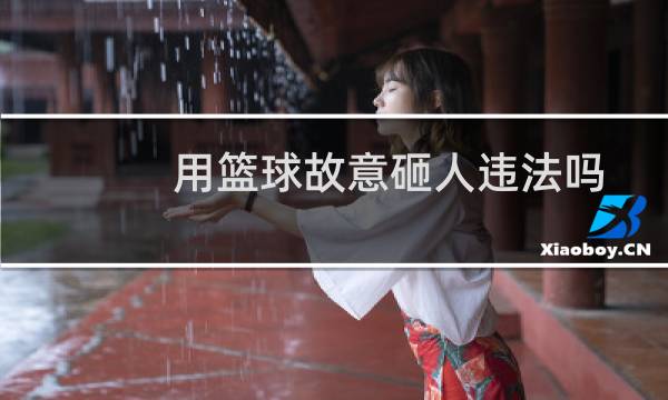 用篮球故意砸人违法吗图片