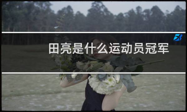 田亮是什么运动员冠军图片
