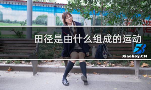 田径是由什么组成的运动项目图片