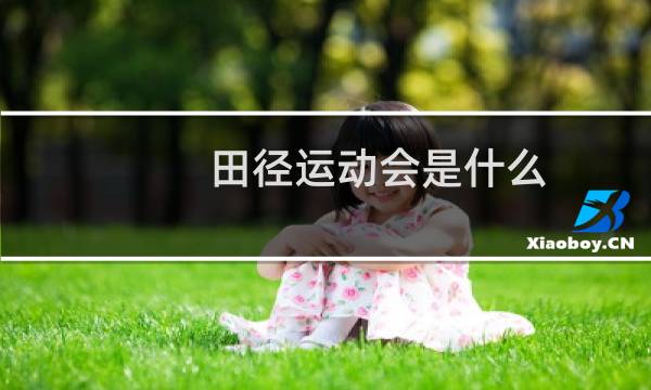 田径运动会是什么图片