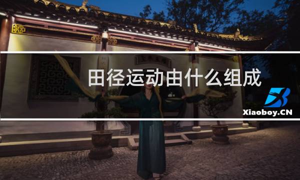 田径运动由什么组成图片