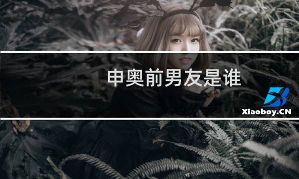 申奥前男友是谁图片