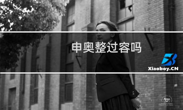 申奥整过容吗图片