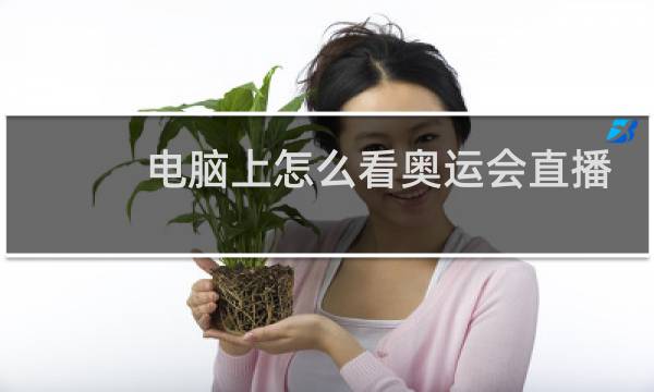 电脑上怎么看奥运会直播回放图片