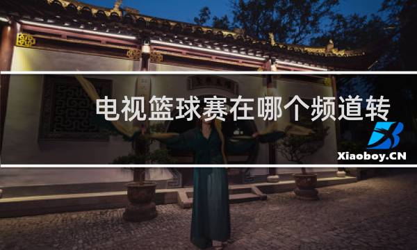 电视篮球赛在哪个频道转播图片