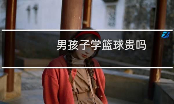 男孩子学篮球贵吗图片