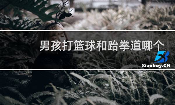 男孩打篮球和跆拳道哪个好图片