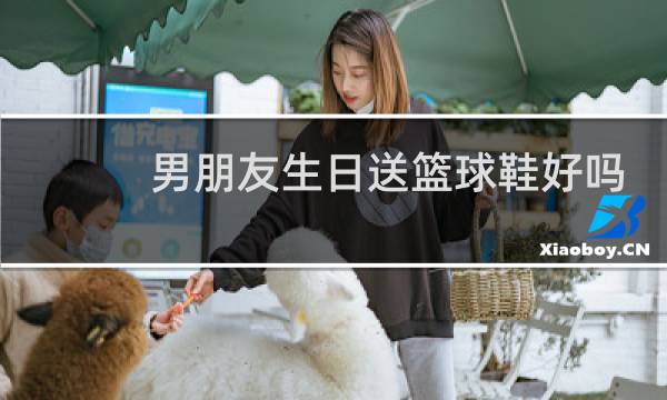男朋友生日送篮球鞋好吗图片