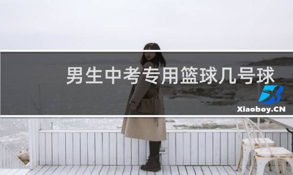 男生中考专用篮球几号球图片