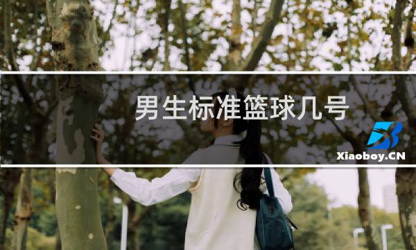 男生标准篮球几号图片
